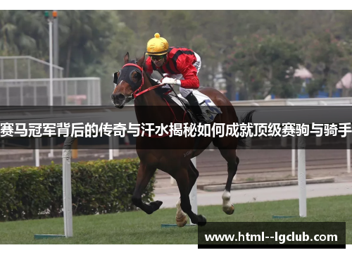 赛马冠军背后的传奇与汗水揭秘如何成就顶级赛驹与骑手